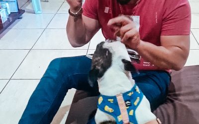 Honesto, un caso de Epilepsia y Auriculoterapia animal.
