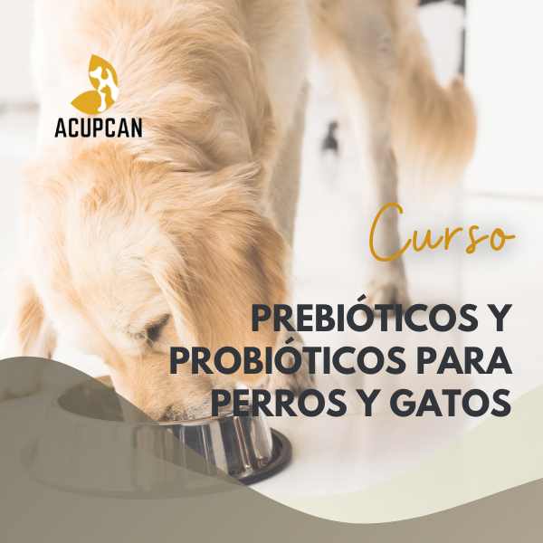Curso de Probióticos y Prebióticos para perros y gatos