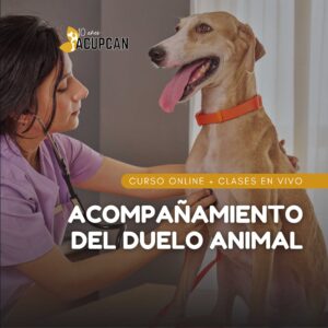 Acompañamiento del duelo animal