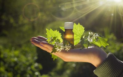 Las Flores de Bach desde el enfoque de la Medicina Tradicional China para Animales