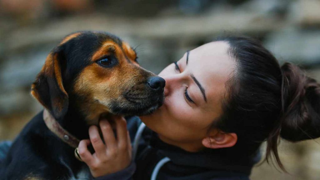 Curso Especialización en terapias Holísticas aplicadas en animales - Acupcan