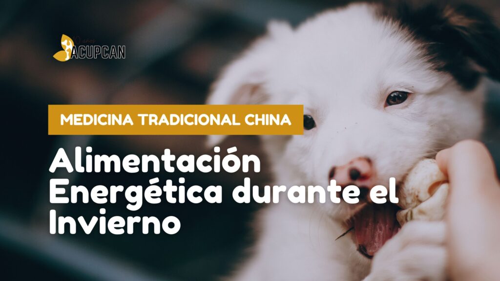 Alimentación Energética durante el Invierno