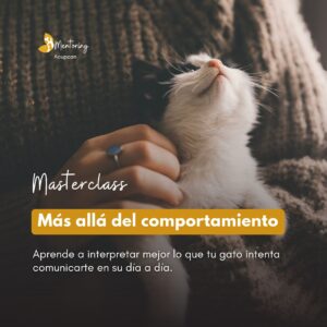 masterclass_felicidad_felina