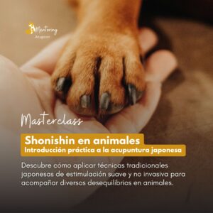Masterclass de Shonishin aplicado a perros y gatos en Acupcan