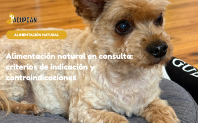 Alimentación natural en consulta: criterios de indicación y contraindicaciones