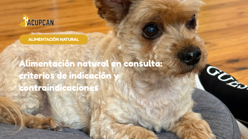 Alimentación natural en consulta: criterios de indicación y contraindicaciones