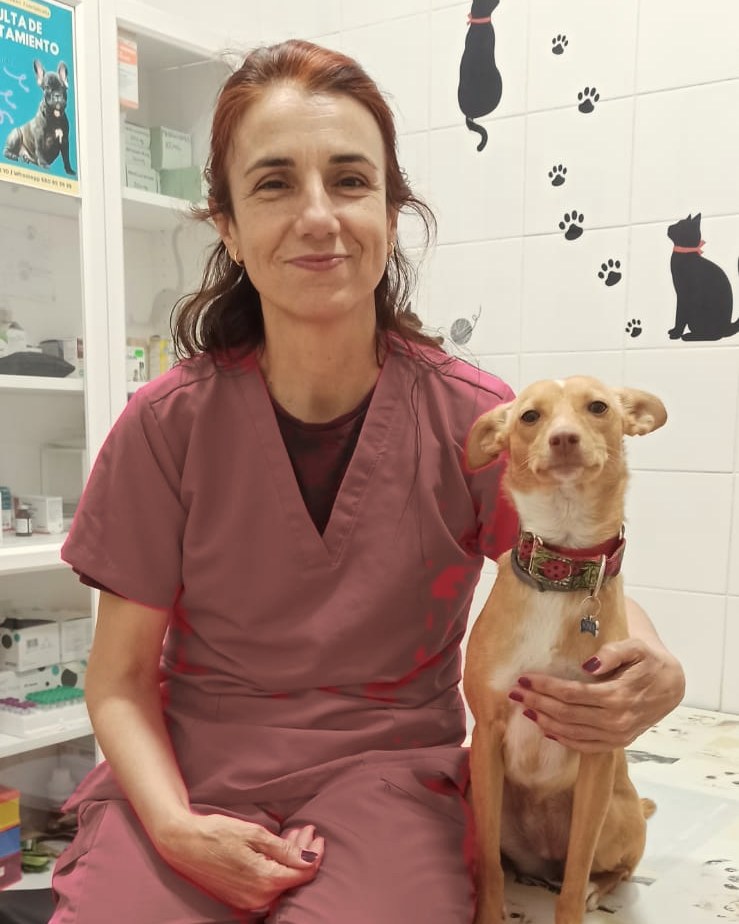 Eva Vergara Ucelay, veterinaria, con una perra en su consulta