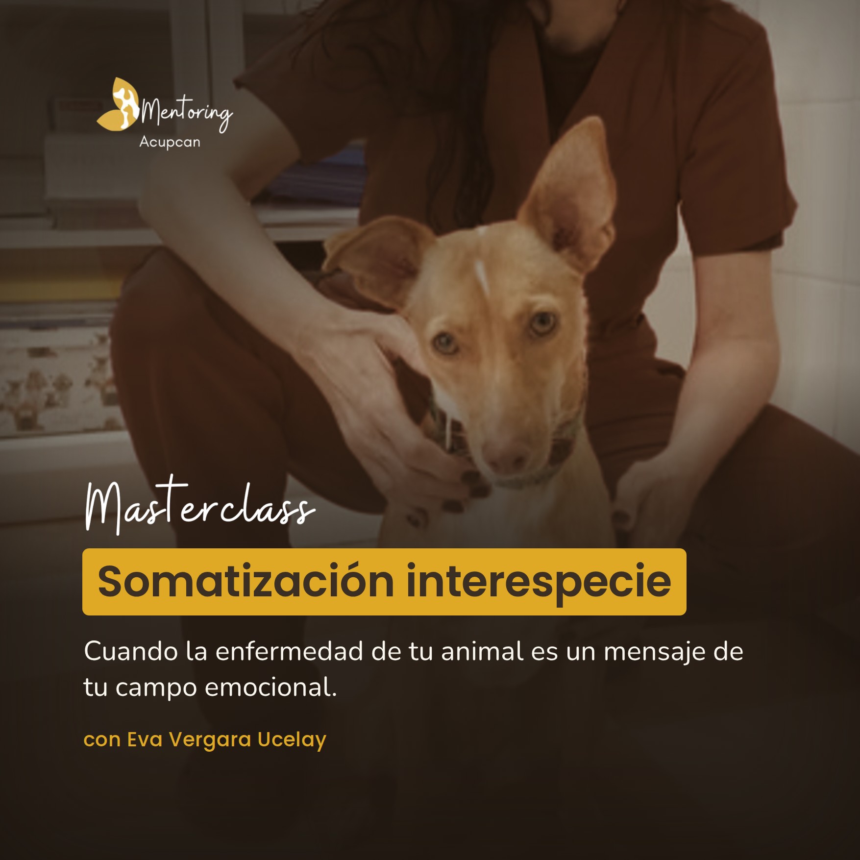 Masterclass Somatización interespecie: veterinaria abrazando a una perra en la consulta